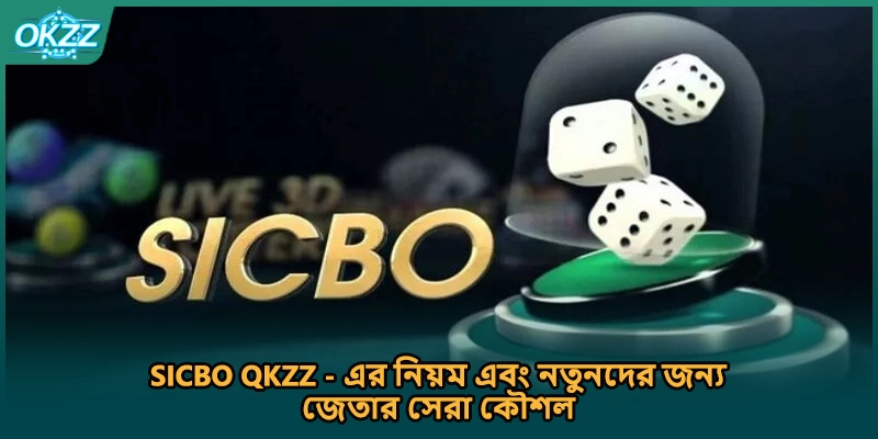 Sicbo QKZZ - এর নিয়ম এবং নতুনদের জন্য জেতার সেরা কৌশল